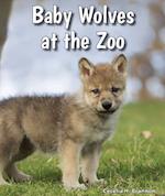 Baby Wolves at the Zoo