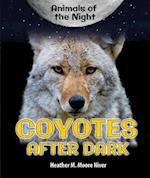 Coyotes After Dark