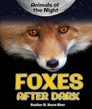 Foxes After Dark