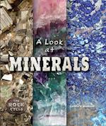 A Look at Minerals