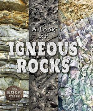 A Look at Igneous Rocks