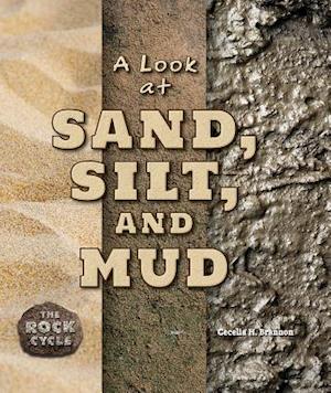 A Look at Sand, Silt, and Mud