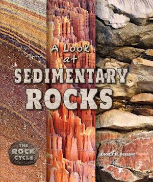 A Look at Sedimentary Rocks