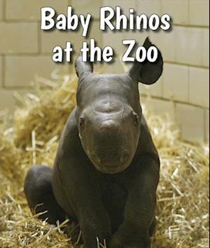 Baby Rhinos at the Zoo