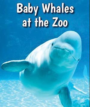 Baby Whales at the Zoo