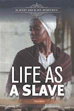 Life as a Slave