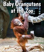 Baby Orangutans at the Zoo