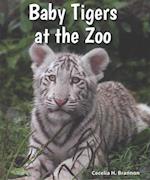 Baby Tigers at the Zoo