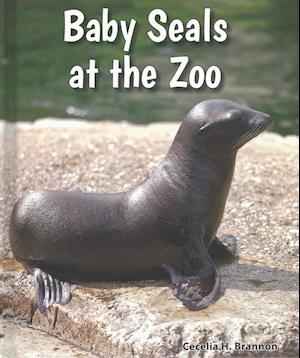 Baby Seals at the Zoo