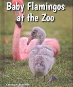 Baby Flamingos at the Zoo
