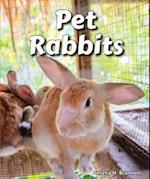 Pet Rabbits
