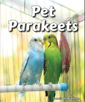 Pet Parakeets