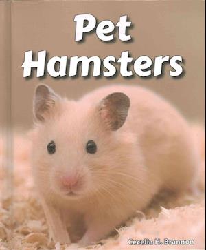 Pet Hamsters