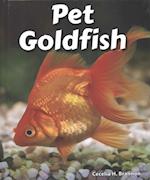 Pet Goldfish