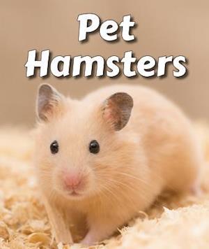 Pet Hamsters