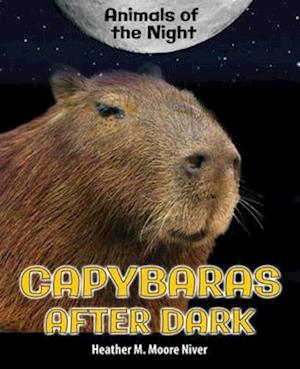 Capybaras After Dark