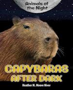 Capybaras After Dark