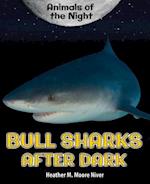 Bull Sharks After Dark