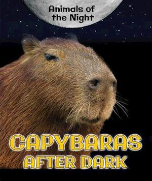 Capybaras After Dark