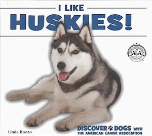 I Like Huskies!