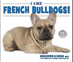 I Like French Bulldogs!