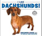 I Like Dachshunds!