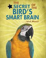 Secret of the Bird's Smart Brain...and More!