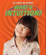 What's Intuition?