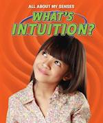 What's Intuition?