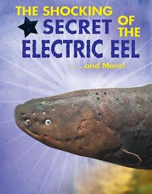 The Shocking Secret of the Electric Eel... and More!