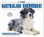 I Like Australian Shepherds!