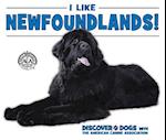 I Like Newfoundlands!
