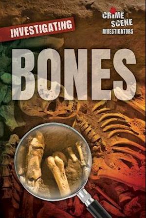 Investigating Bones