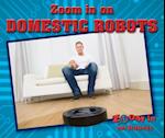 Zoom in on Domestic Robots