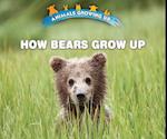 How Bears Grow Up