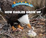 How Eagles Grow Up