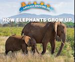 How Elephants Grow Up