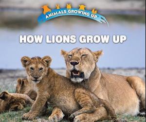How Lions Grow Up