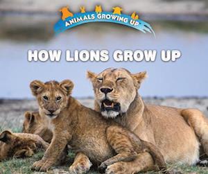 How Lions Grow Up