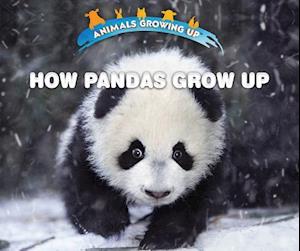 How Pandas Grow Up