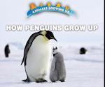 How Penguins Grow Up