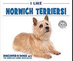 I Like Norwich Terriers!