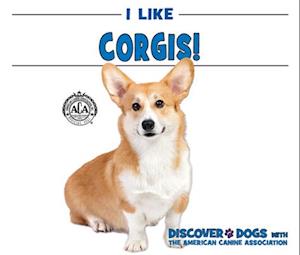 I Like Corgis!