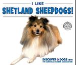 I Like Shetland Sheepdogs!