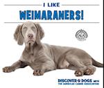 I Like Weimaraners!