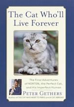 Cat Who'll Live Forever