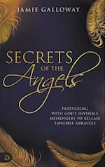 Secrets of the Angels