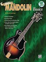 Ultimate Beginner Bluegrass Mandolin Basics