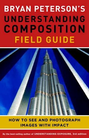 Bryan Peterson's Understanding Composition Field Guide