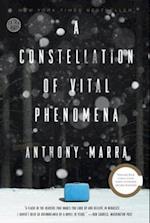 Constellation of Vital Phenomena